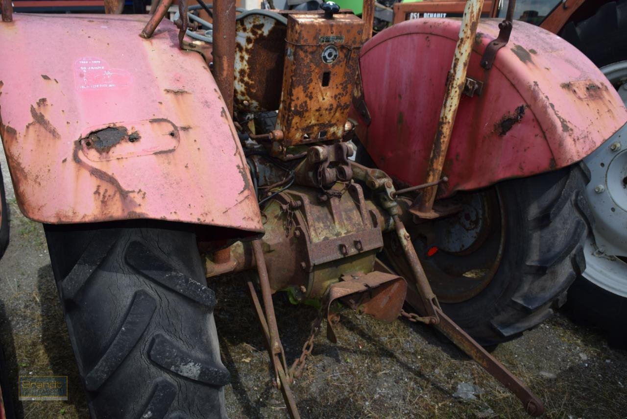 Traktor tipa Massey Ferguson MF 35 *zur Teileverwertung*, Gebrauchtmaschine u Oyten (Slika 3)