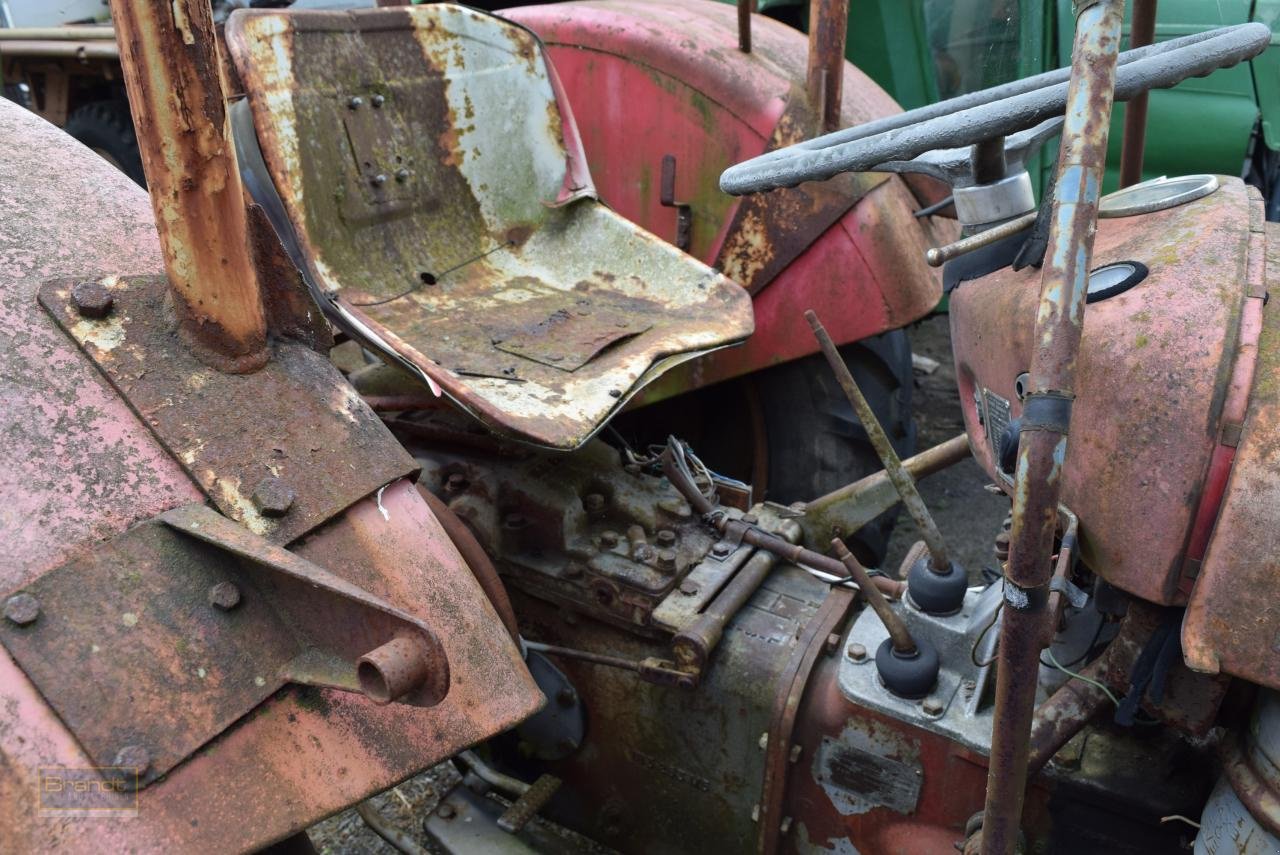 Traktor des Typs Massey Ferguson MF 35, Gebrauchtmaschine in Oyten (Bild 4)