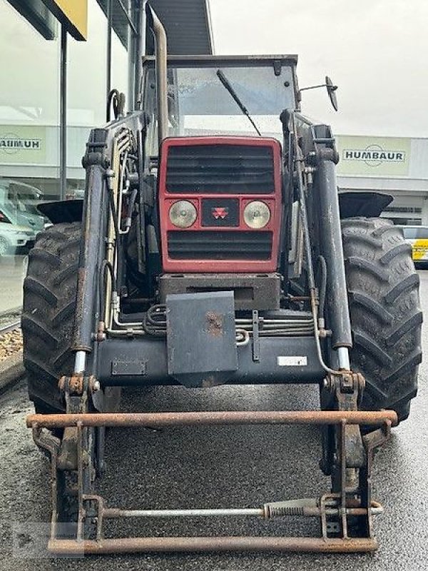 Traktor a típus Massey Ferguson MF 373 A Stoll Frontlader Robust F 1.Hand, Gebrauchtmaschine ekkor: Gevelsberg (Kép 2)