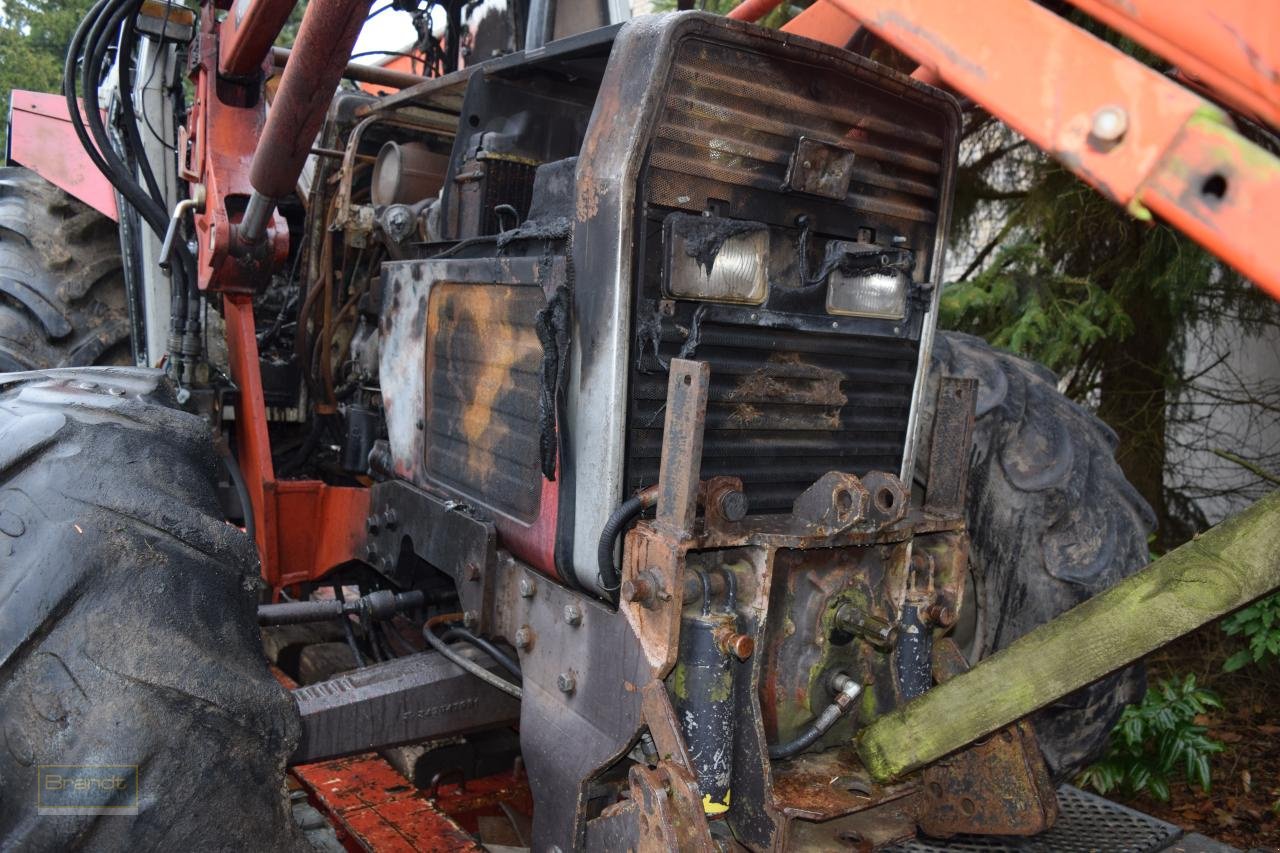 Traktor van het type Massey Ferguson MF 390 T *Brandschaden*, Gebrauchtmaschine in Oyten (Foto 10)
