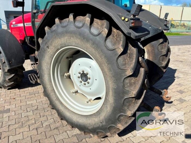 Traktor typu Massey Ferguson MF 6290, Gebrauchtmaschine v Meppen (Obrázek 9)