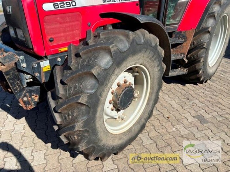 Traktor typu Massey Ferguson MF 6290, Gebrauchtmaschine v Meppen (Obrázek 10)