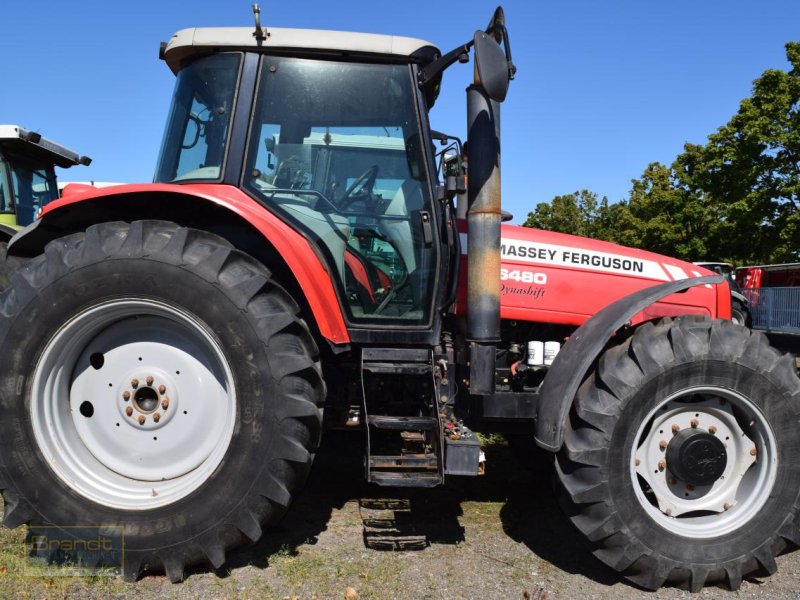 Traktor des Typs Massey Ferguson MF 6480, Gebrauchtmaschine in Oyten (Bild 1)