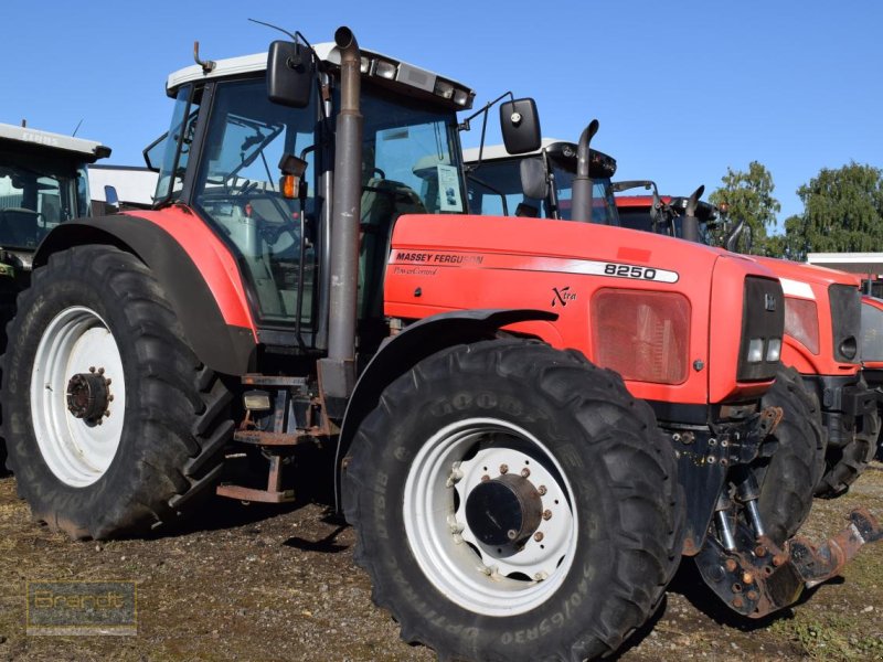 Traktor del tipo Massey Ferguson MF 8250, Gebrauchtmaschine In Oyten (Immagine 1)