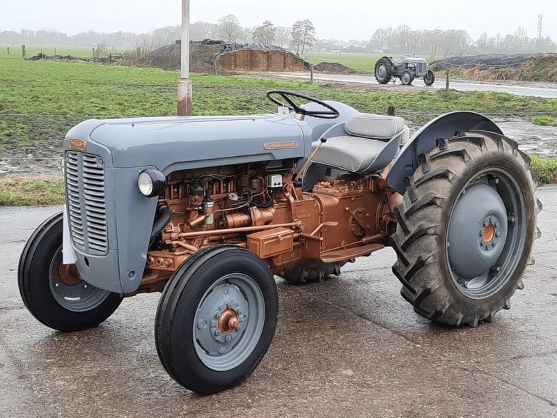 Traktor tipa Massey Ferguson Oldtimer tractor, TE35, Gebrauchtmaschine u Groningen (Slika 1)