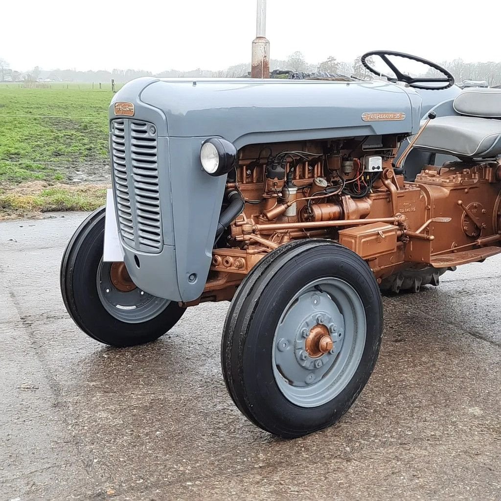 Traktor типа Massey Ferguson Oldtimer tractor, TE35, Gebrauchtmaschine в Groningen (Фотография 2)