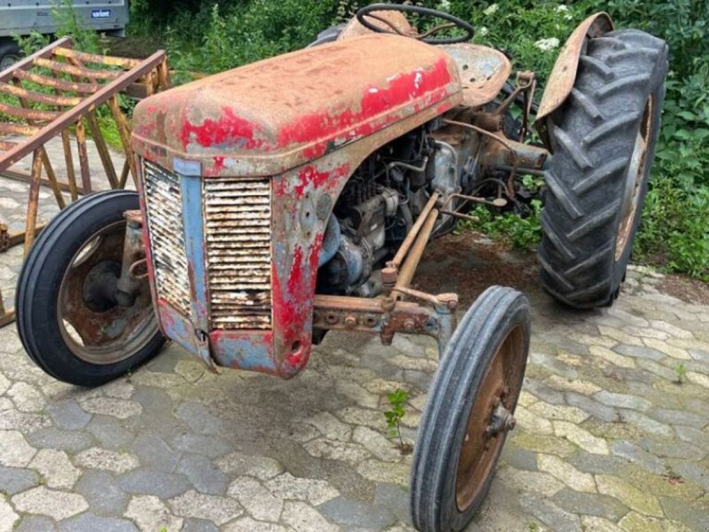 Traktor del tipo Massey Ferguson Oldtimer, Gebrauchtmaschine In Rødovre (Immagine 1)