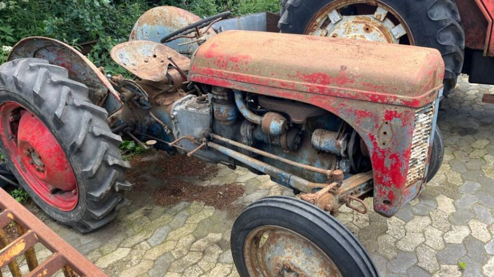 Traktor del tipo Massey Ferguson Oldtimer, Gebrauchtmaschine In Rødovre (Immagine 4)