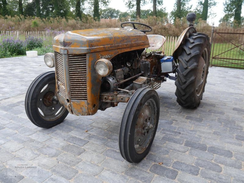 Traktor от тип Massey Ferguson TEF 20 Diesel, Gebrauchtmaschine в Borken