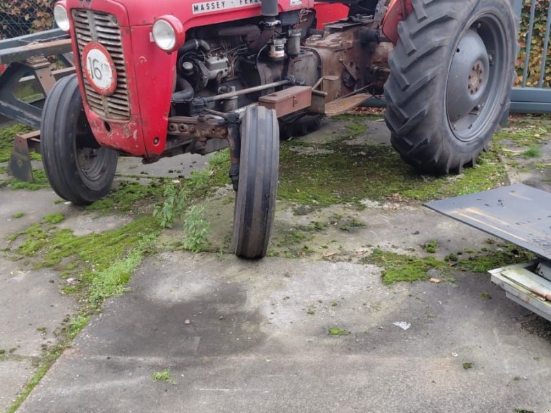Traktor van het type Massey Ferguson x, Gebrauchtmaschine in Ermelo (Foto 1)