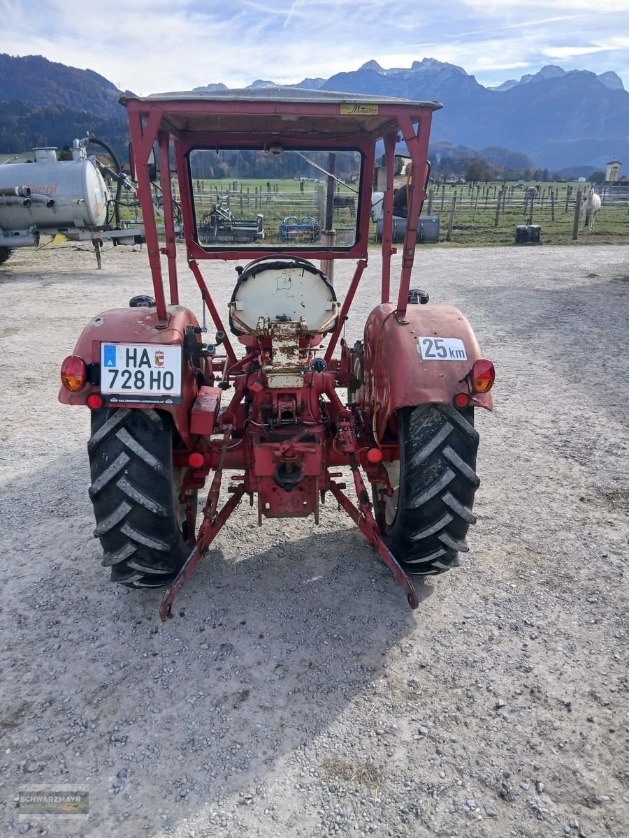 Traktor typu McCormick 434, Gebrauchtmaschine v Gampern (Obrázek 3)