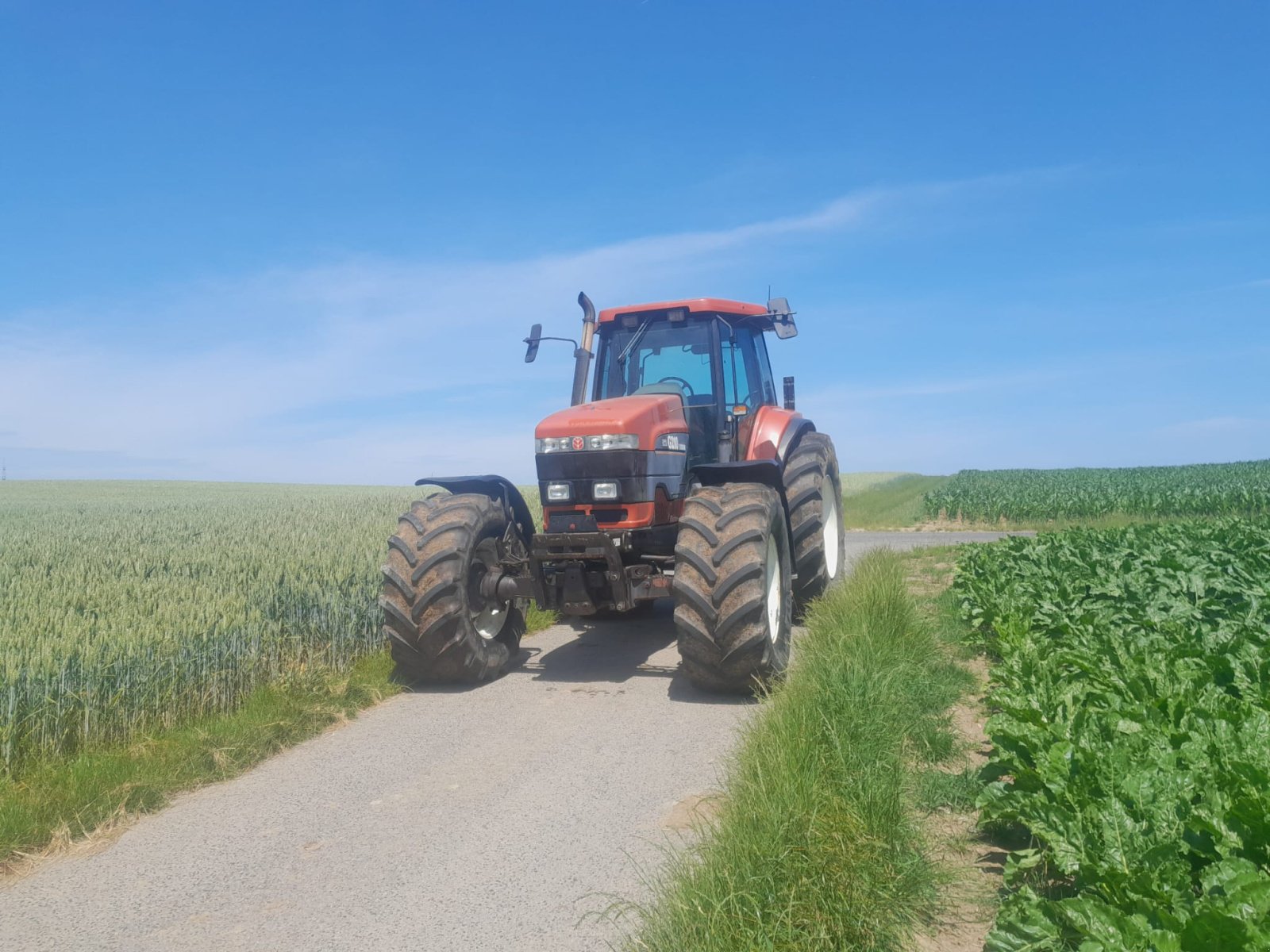 Traktor типа New Holland G210, Gebrauchtmaschine в Creglingen (Фотография 1)