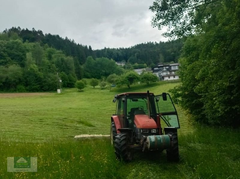 Traktor of the type New Holland L 65 Standard, Gebrauchtmaschine in Klagenfurt (Picture 3)
