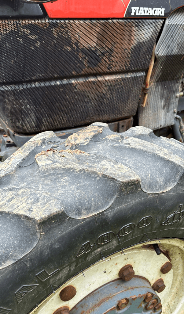 Traktor van het type New Holland NEW HOLLAND TN 75 F, Gebrauchtmaschine in SAINT ANDIOL (Foto 7)