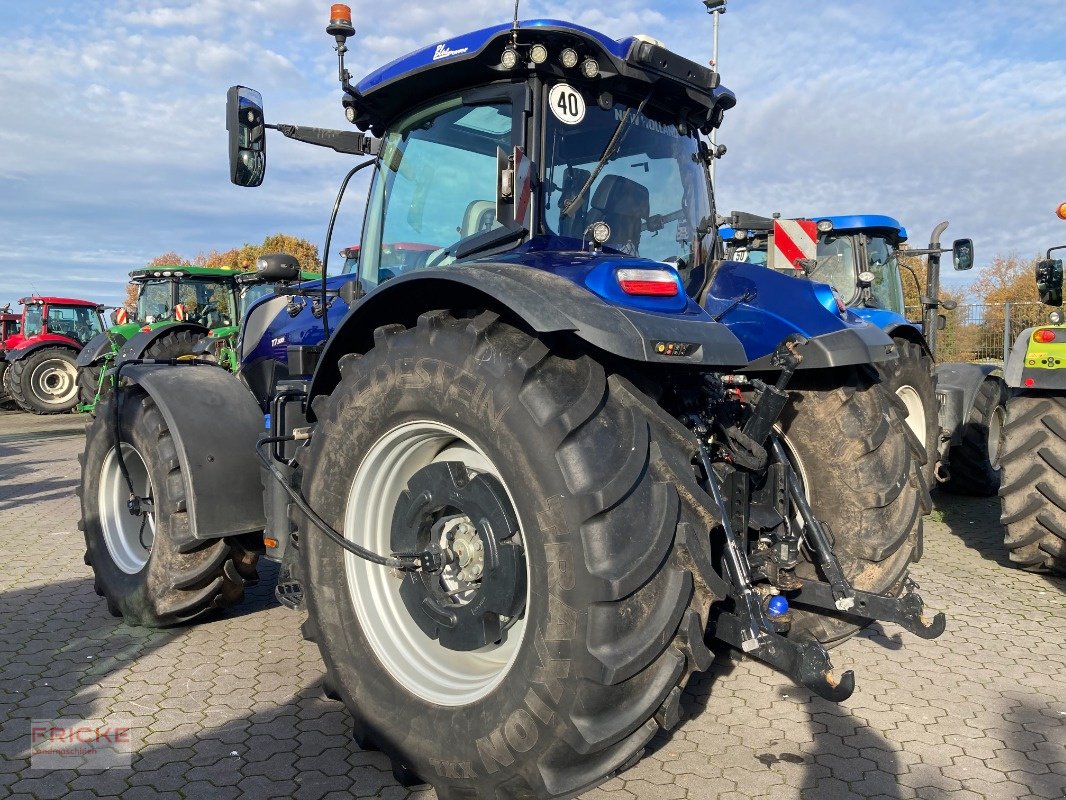 Traktor от тип New Holland T 7.300 Auto Command, Gebrauchtmaschine в Bockel - Gyhum (Снимка 11)