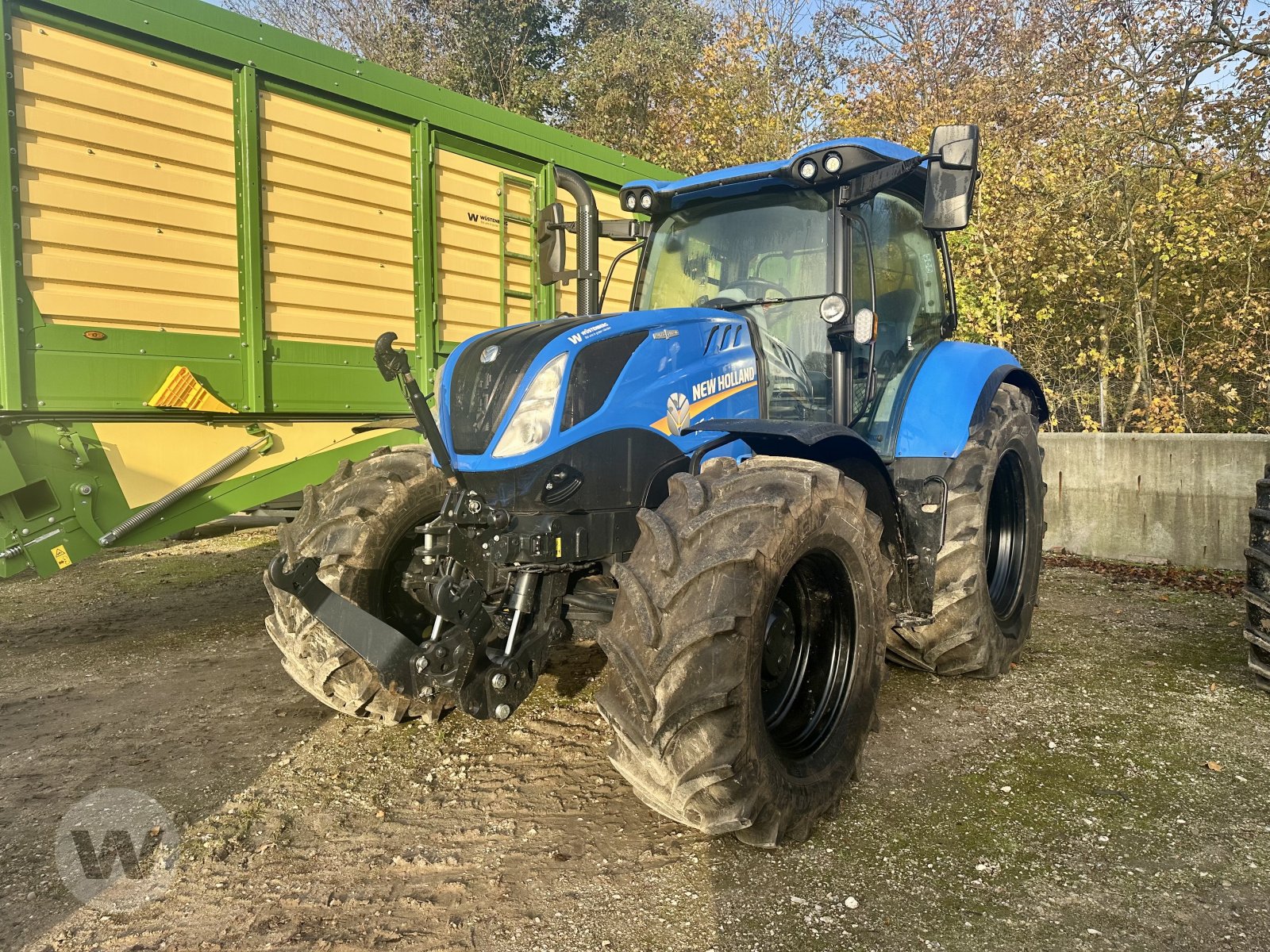 Traktor des Typs New Holland T6.180 , Gebrauchtmaschine in Husum (Bild 1)