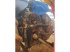 Traktor del tipo New Holland T7.185APC, Gebrauchtmaschine In BRAY en Val (Immagine 5)