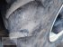 Traktor des Typs New Holland T7.230 AC, Gebrauchtmaschine in Altenberge (Bild 7)