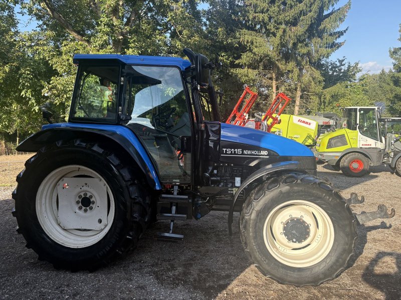 Traktor des Typs New Holland TS115, Gebrauchtmaschine in Pischelsdorf am Engelbach (Bild 1)