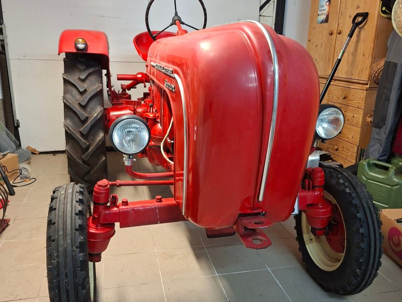 Traktor Türe ait Porsche Standard 218, Gebrauchtmaschine içinde Wehr (resim 1)