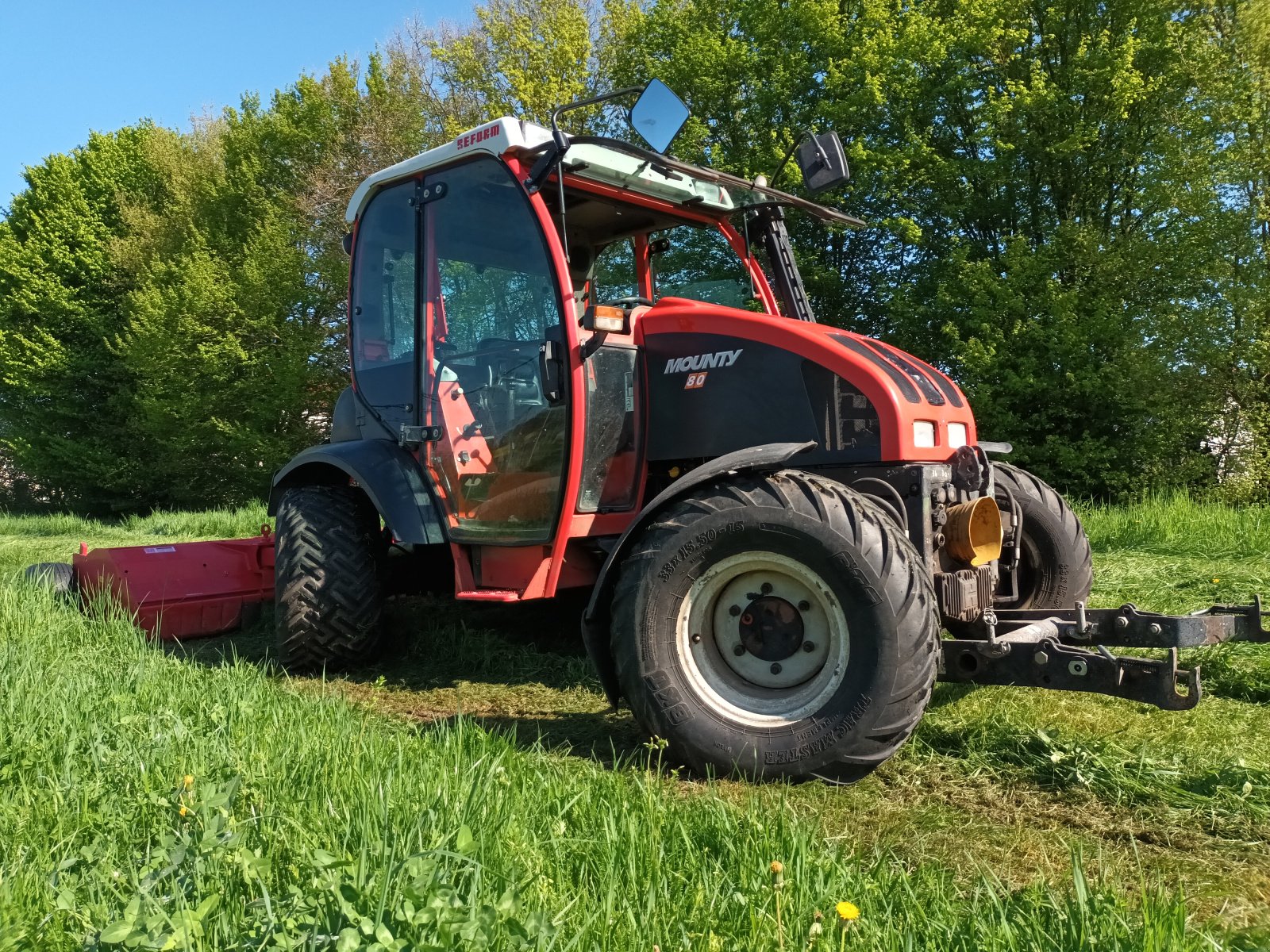 Traktor typu Reform Mounty 80, Gebrauchtmaschine w bei Zeitz (Zdjęcie 3)