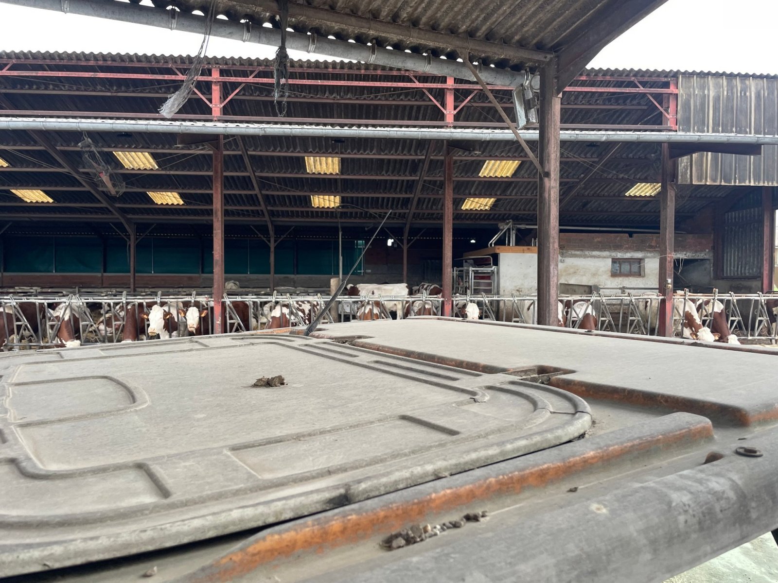 Traktor Türe ait Renault CELTIS456RX, Gebrauchtmaschine içinde ORLEIX (resim 8)