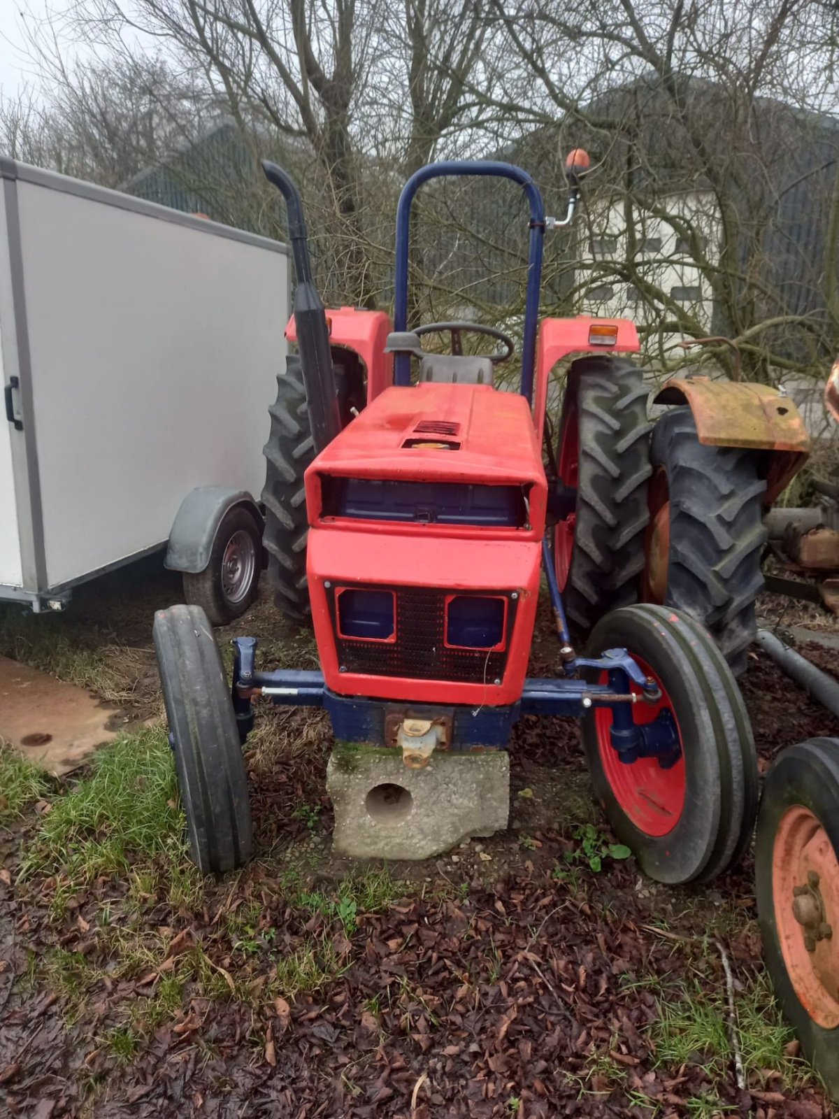 Traktor tipa Same 3 ciliner, Gebrauchtmaschine u Wijnaldum (Slika 3)