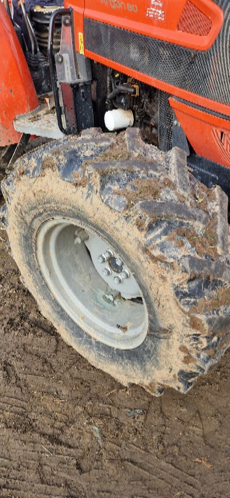 Traktor des Typs Same Argon 80, Gebrauchtmaschine in ST MARTIN EN HAUT (Bild 3)