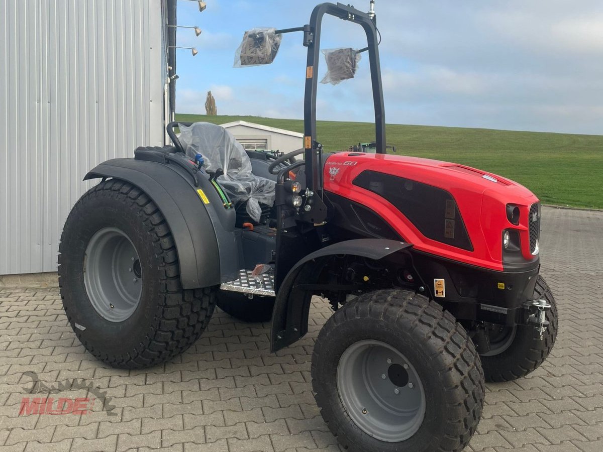 Traktor του τύπου Same Delfino 60, Neumaschine σε Gebenbach (Φωτογραφία 2)