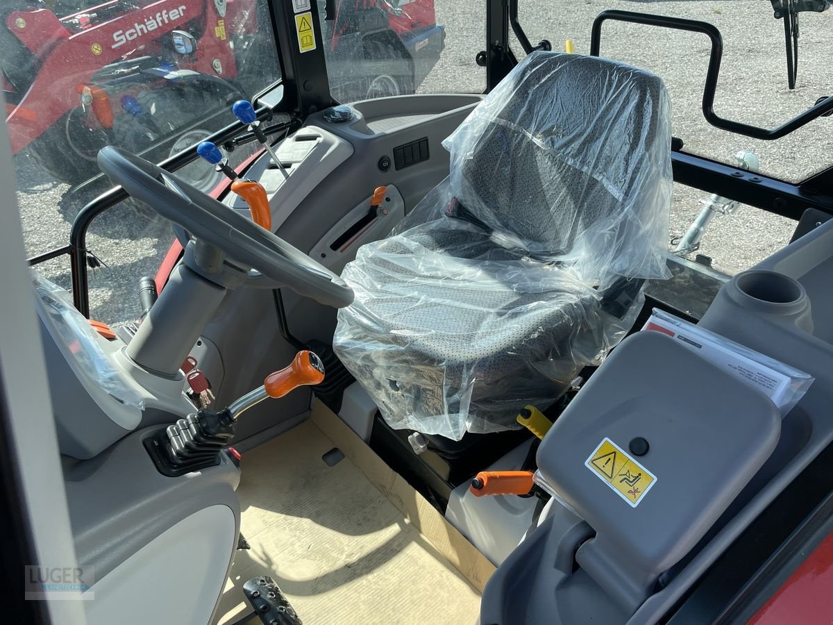 Traktor des Typs Same Dorado 80 Natural, Neumaschine in Niederkappel (Bild 7)