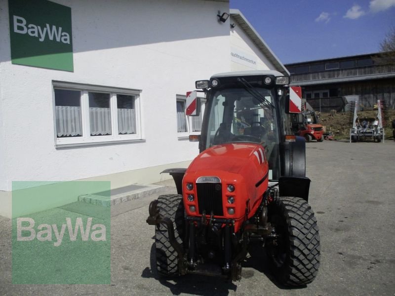 Traktor a típus Same FRUTTETO 3  80   #890, Gebrauchtmaschine ekkor: Schönau b.Tuntenhausen (Kép 3)