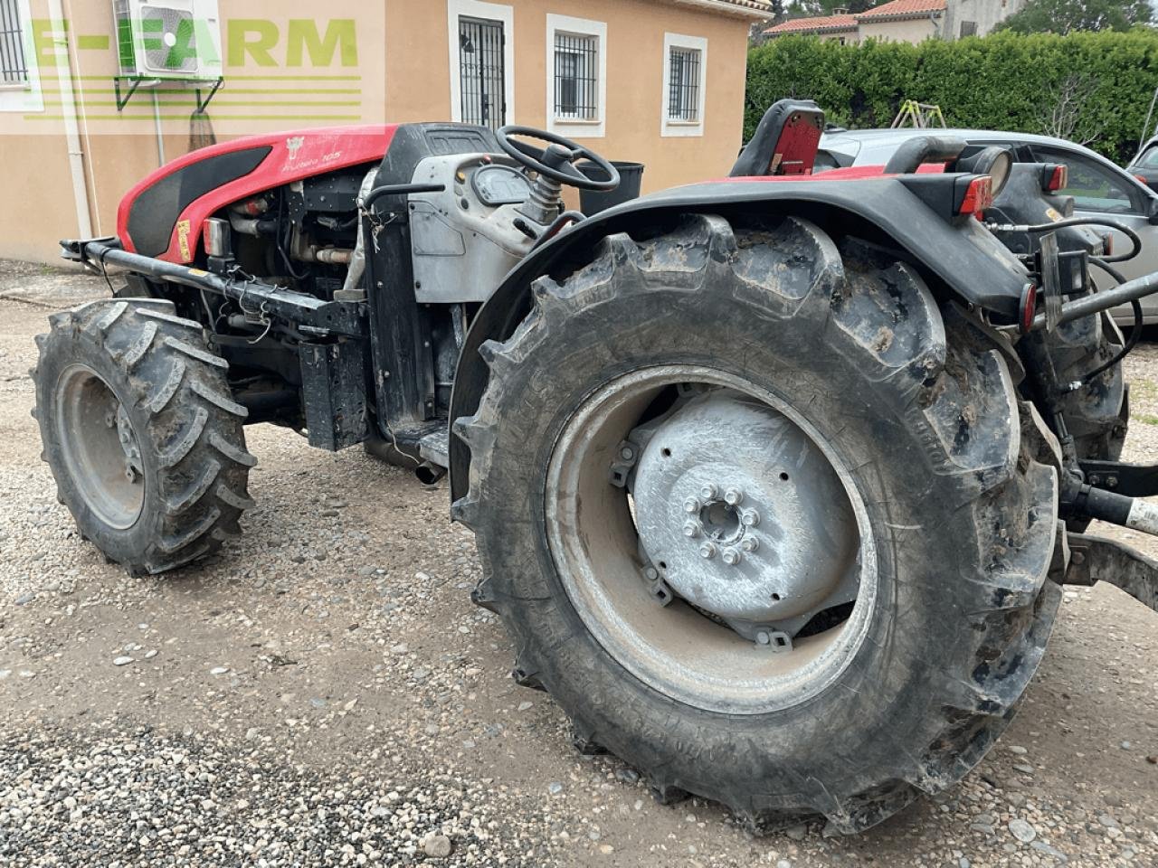 Traktor del tipo Same frutteto, Gebrauchtmaschine en ST ANDIOL (Imagen 4)