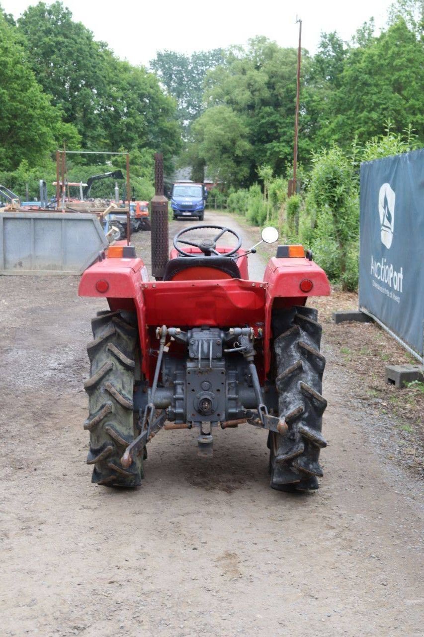 Traktor a típus Shibaura SD1643, Gebrauchtmaschine ekkor: Antwerpen (Kép 5)