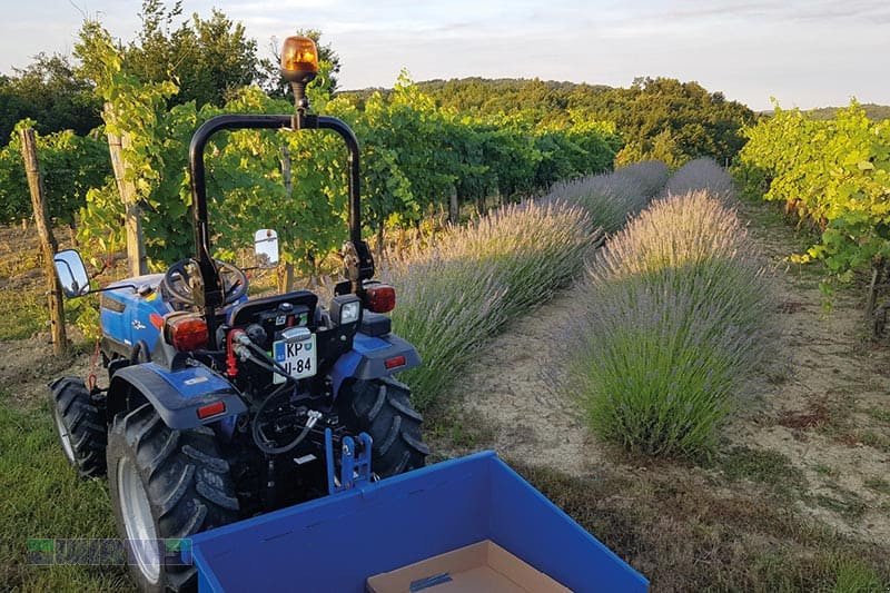 Traktor des Typs Solis 26 HST "Ausstellungstraktor Sonderpreis", Neumaschine in Buchdorf (Bild 12)