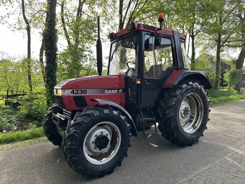 Traktor van het type Sonstige Case 4230 XL, Gebrauchtmaschine in Rossum (Foto 1)