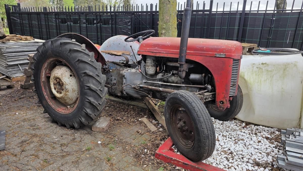 Traktor des Typs Sonstige Ferguson TEF, Gebrauchtmaschine in Deurne (Bild 1)