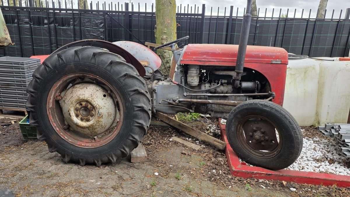 Traktor des Typs Sonstige Ferguson TEF, Gebrauchtmaschine in Deurne (Bild 2)