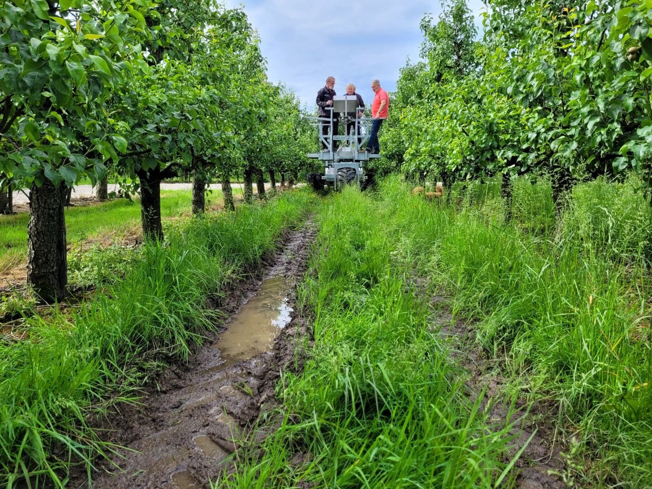 Traktor des Typs Sonstige Frutec E 2024, Neumaschine in Werkendam (Bild 10)