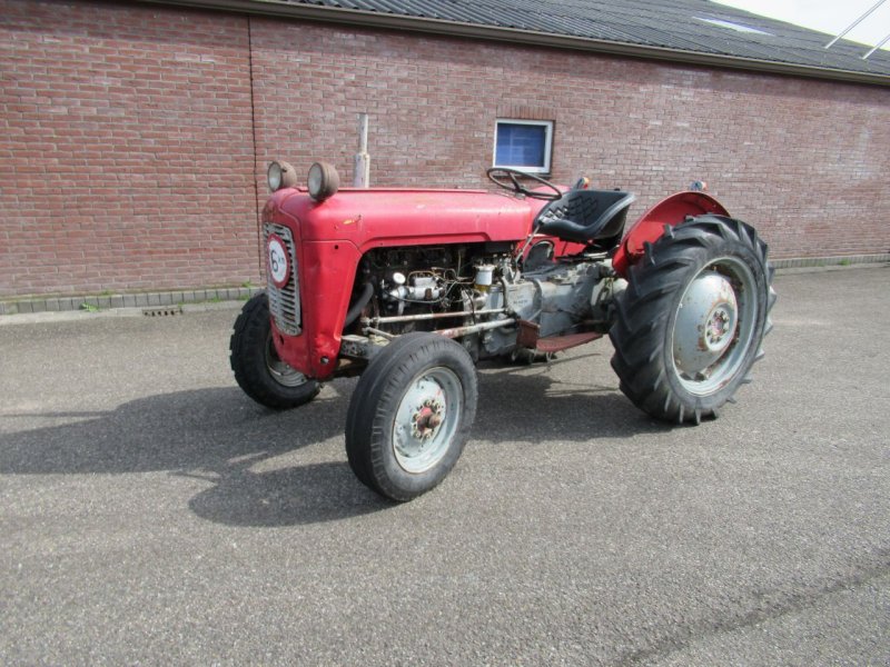 Traktor от тип Sonstige Massey Ferguson TE 35 35, Gebrauchtmaschine в Stroe (Gld) (Снимка 1)