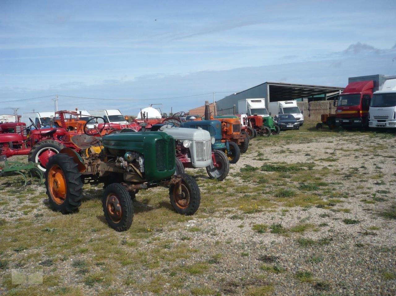 Traktor des Typs Sonstige Paket 27 Oldtimer Traktoren - Lanz,Deutz,Porsche,Fiat, Gebrauchtmaschine in Pragsdorf (Bild 4)