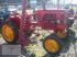 Traktor des Typs Sonstige Paket 27 Oldtimer Traktoren - Lanz,Deutz,Porsche,Fiat, Gebrauchtmaschine in Pragsdorf (Bild 21)