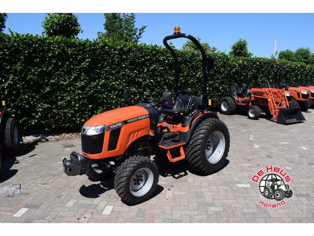 Traktor Türe ait Sonstige Tafe 6028M, Neumaschine içinde MIJNSHEERENLAND (resim 5)