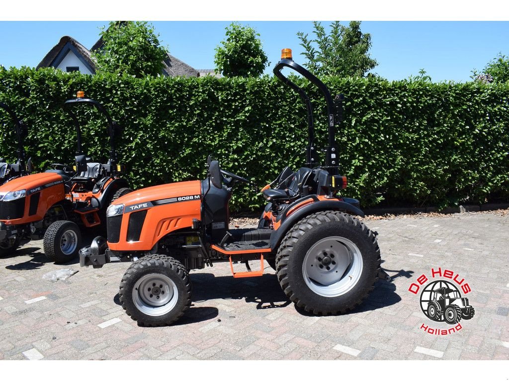 Traktor Türe ait Sonstige Tafe 6028M, Neumaschine içinde MIJNSHEERENLAND (resim 4)