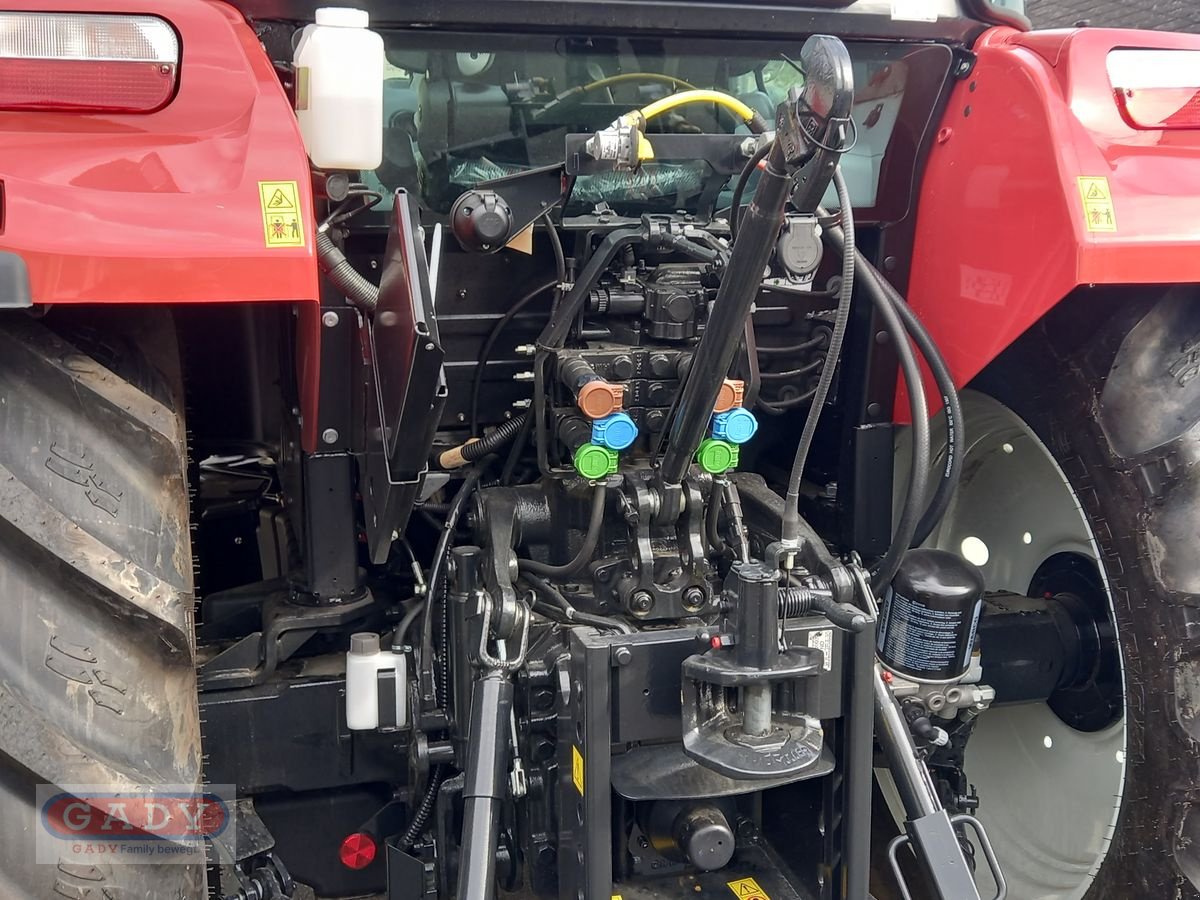Traktor des Typs Steyr 4100 Kompakt (Stage V), Neumaschine in Lebring (Bild 5)