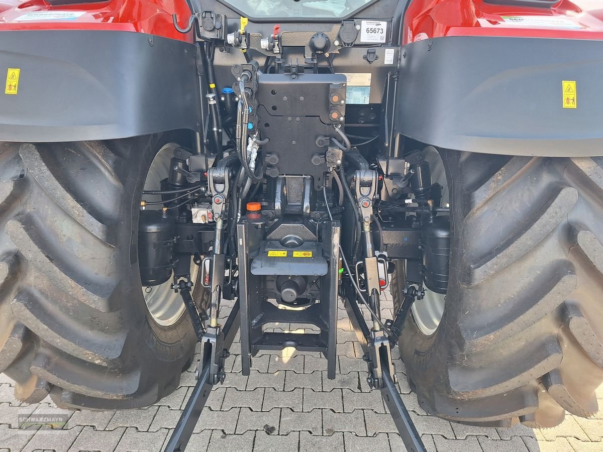Traktor del tipo Steyr 4110 Expert CVT, Neumaschine In Aurolzmünster (Immagine 8)