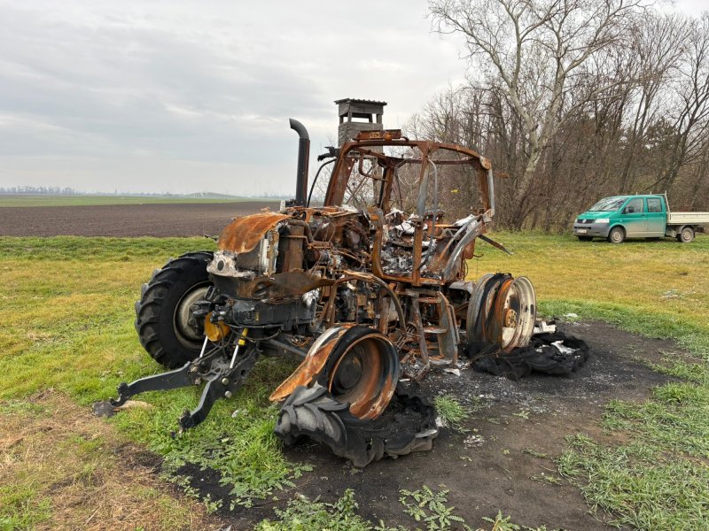 Traktor от тип Steyr 4145 Profi CVT, Gebrauchtmaschine в Aderklaa (Снимка 1)