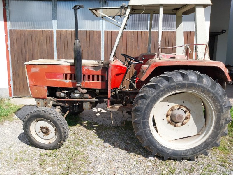 Traktor des Typs Steyr 540, Gebrauchtmaschine in Betzigau (Bild 1)