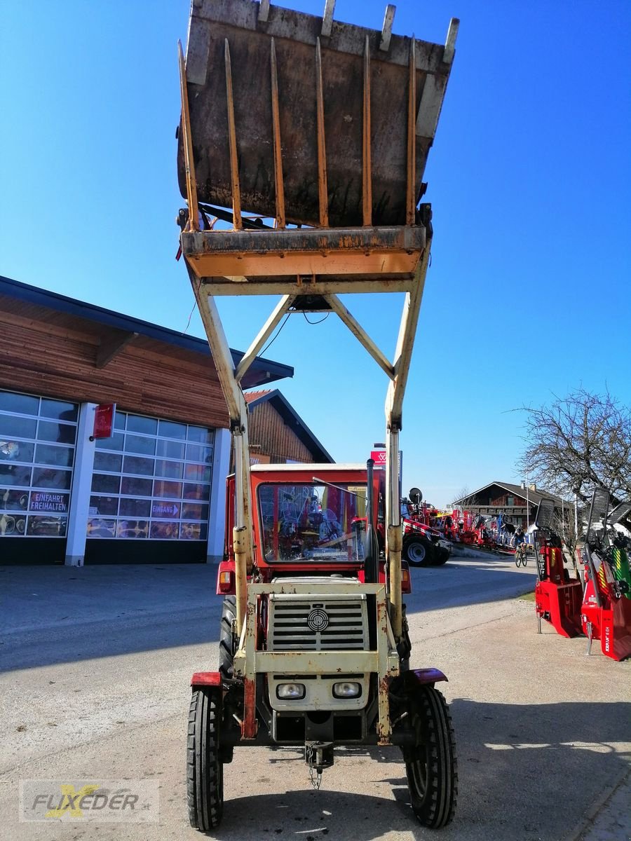 Traktor za tip Steyr 545, Gebrauchtmaschine u Pattigham (Slika 5)