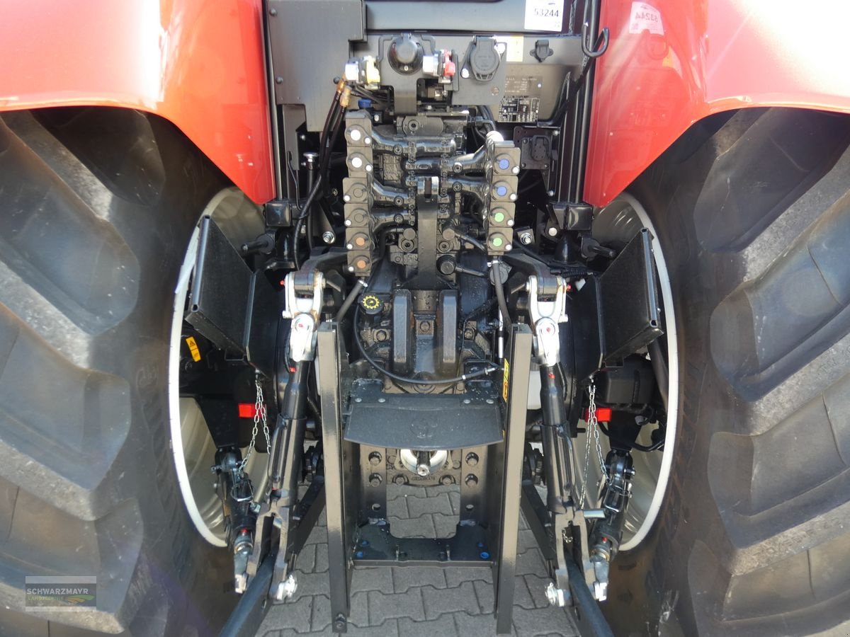 Traktor des Typs Steyr 6175 Impuls CVT, Neumaschine in Aurolzmünster (Bild 19)