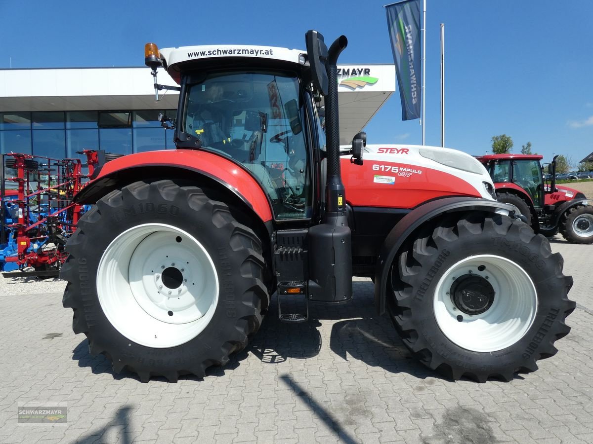 Traktor des Typs Steyr 6175 Impuls CVT, Neumaschine in Aurolzmünster (Bild 2)